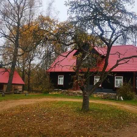 Zirgu Seta 